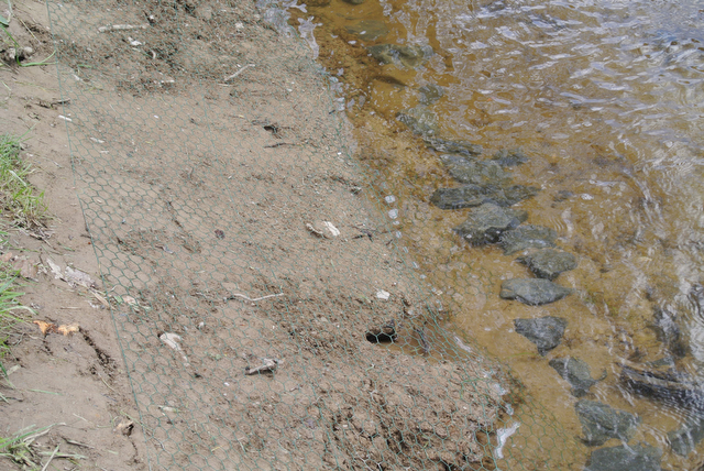 13-05-18 12-08-17 NIKON 1 V1 DSC_2269