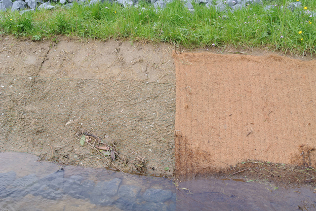 13-06-01 12-40-03 NIKON 1 V1 DSC_2298