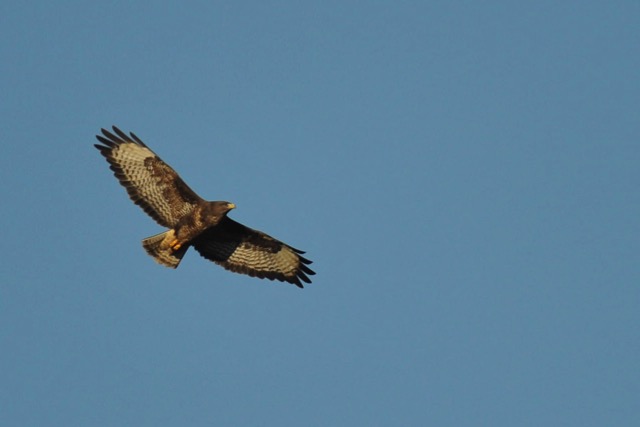 12-10-31 15-18-29 DSC_5791